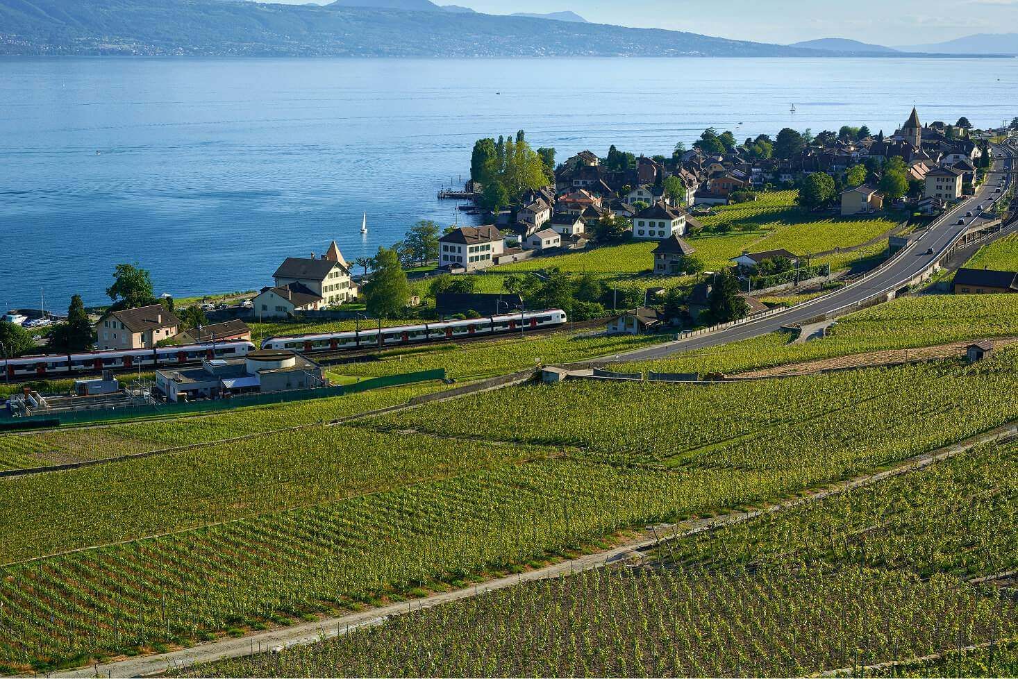 Grandvaux, villaggio patrimonio mondiale UNESCO nel Lavaux, riscaldato da una rete geotermica di 5ª generazione progettata con TESSA